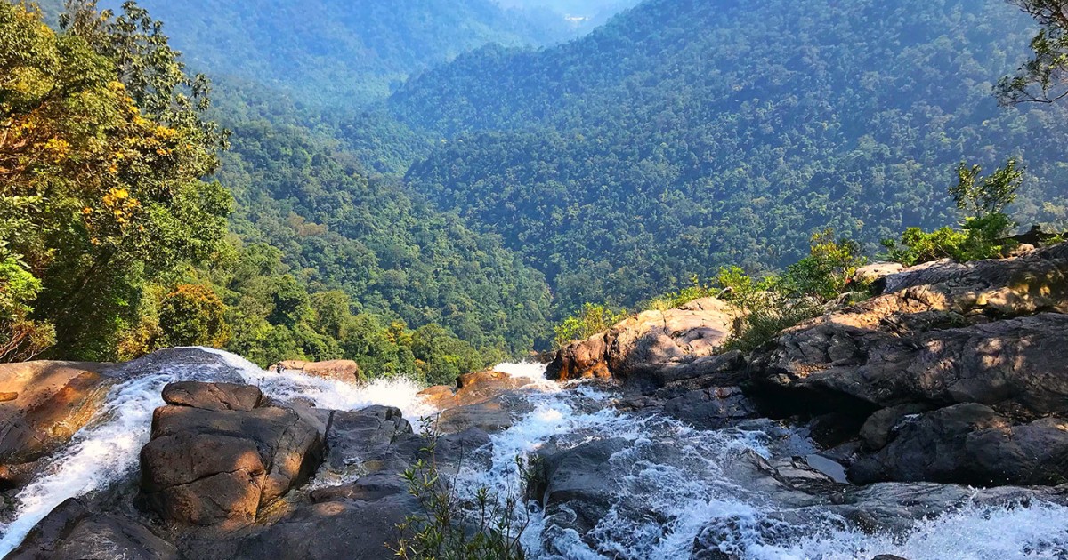 Bach Ma National Park
