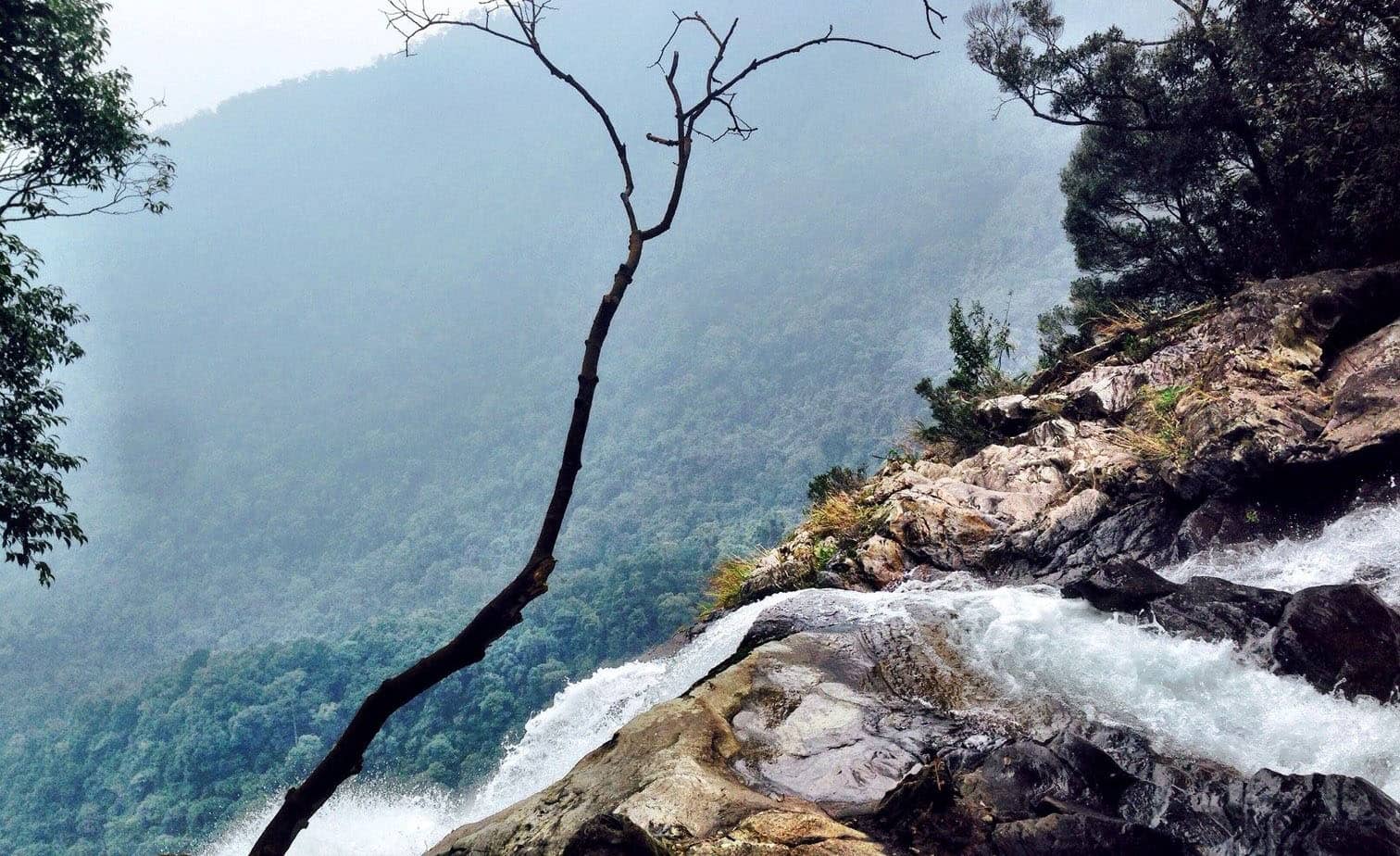 Bach Ma National Park
