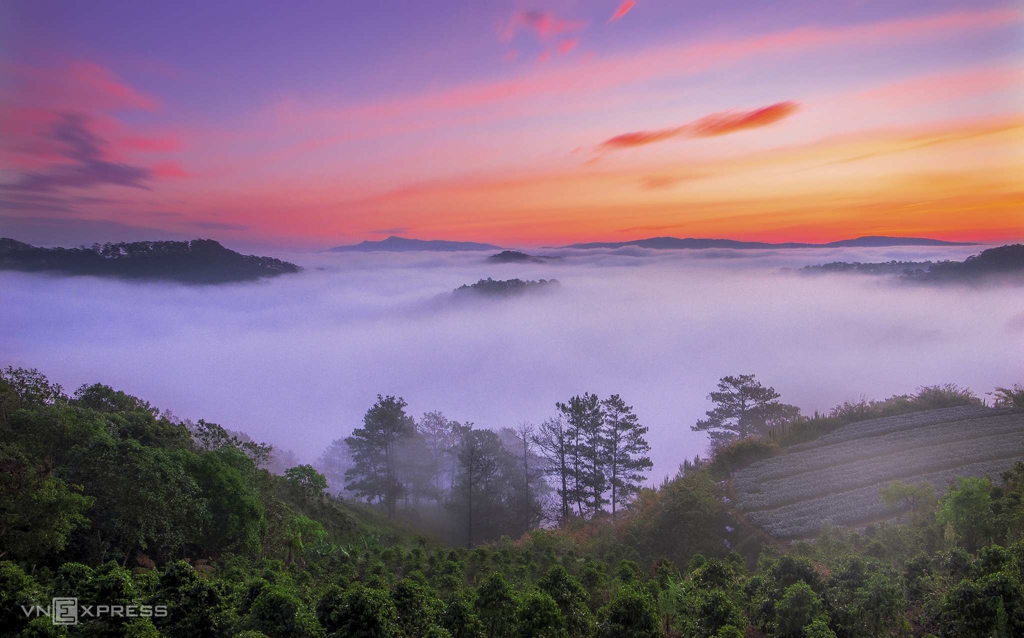 Green, quiet side of Da Lat