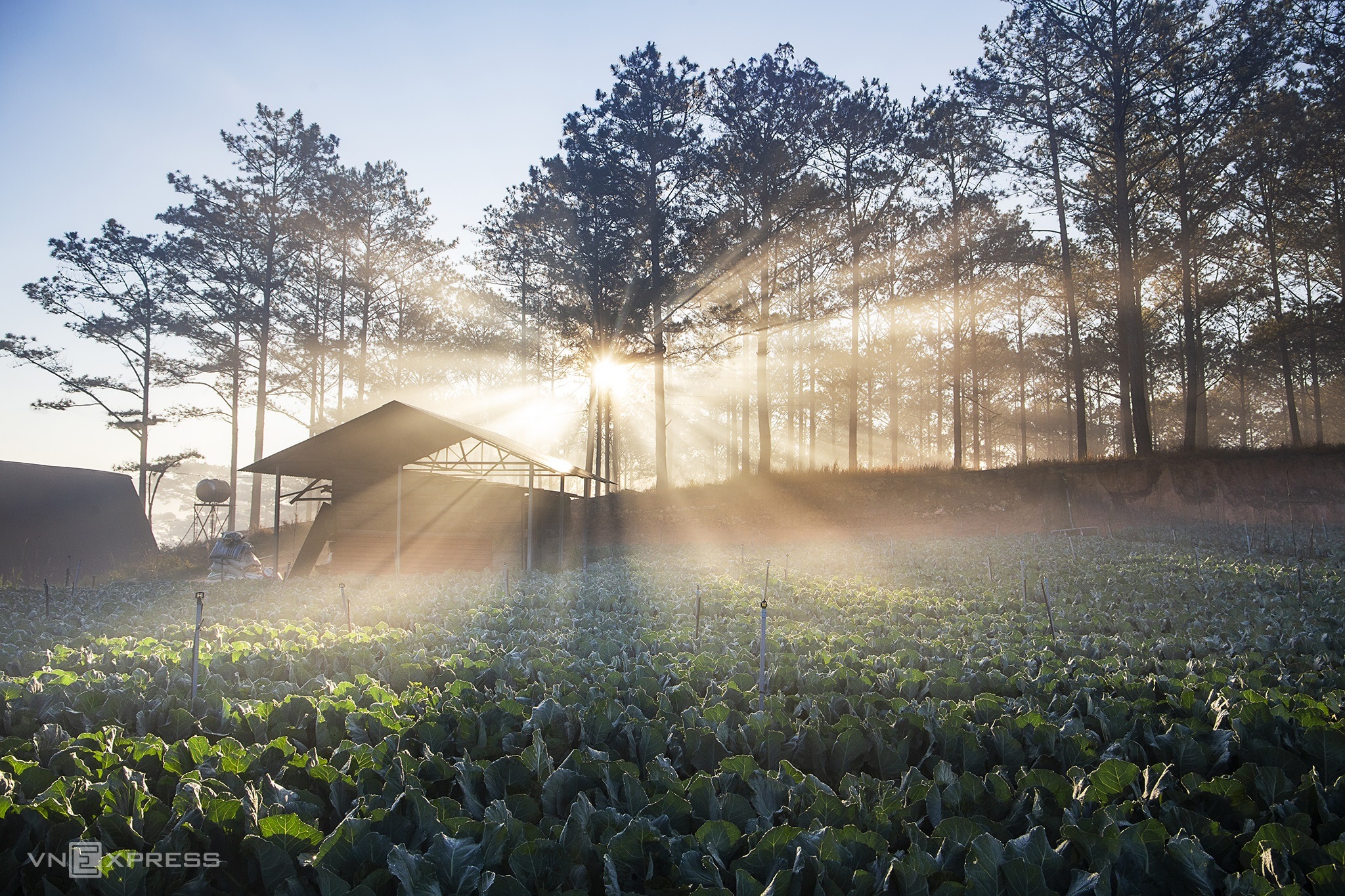 Green, quiet side of Da Lat