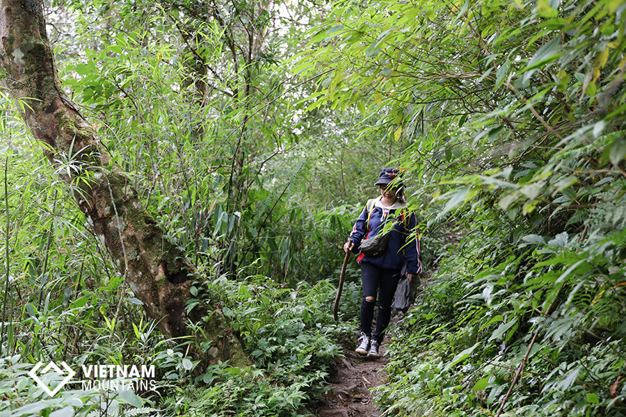 Hiking Helps People with Type 2 Diabetes