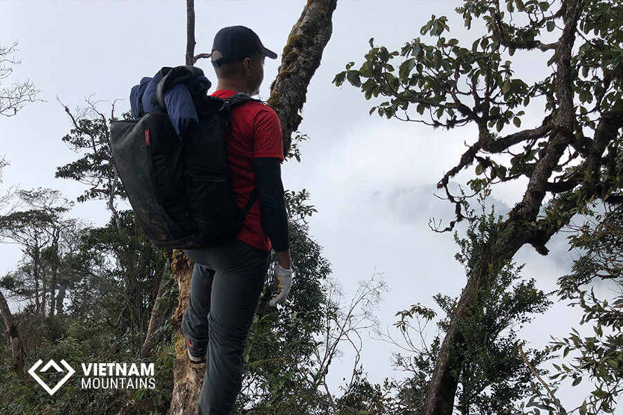 Hiking Helps People with Type 2 Diabetes