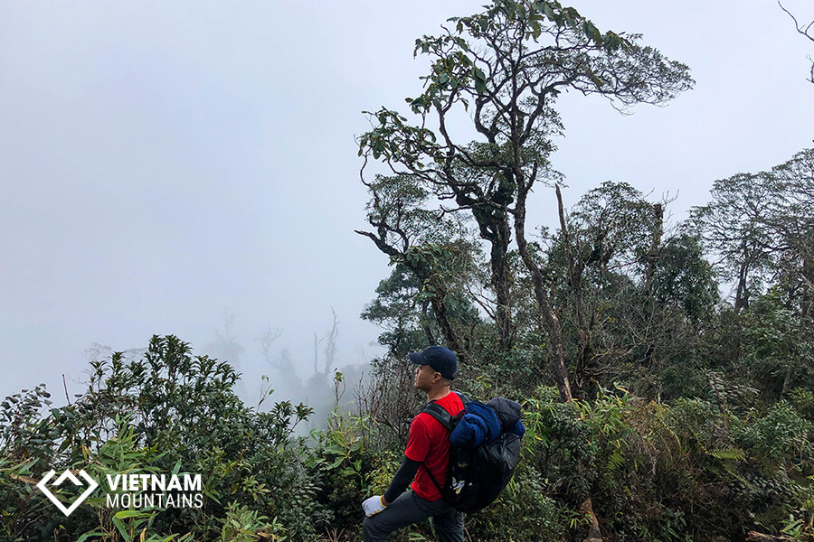 Lower Risk of Colon and Breast Cancer and Possibly Lung and Endometrial Cancer