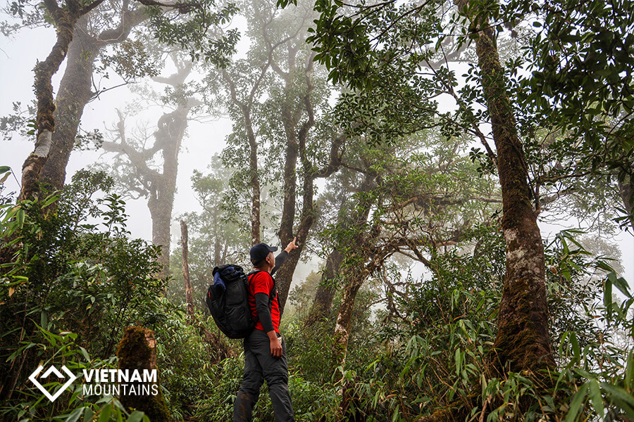 Lower Risk of Early Death