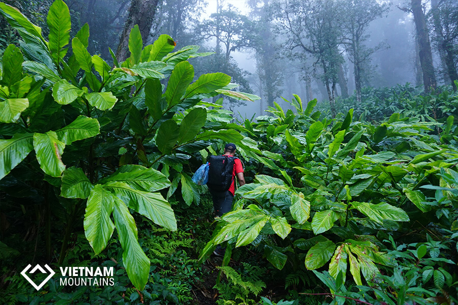 Increases Your Bone Density