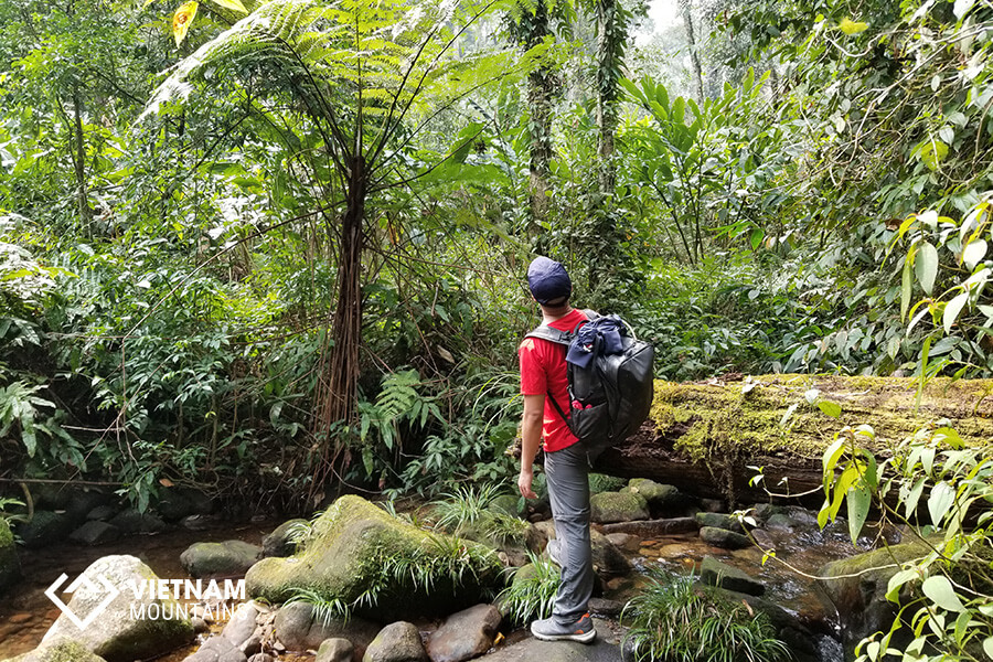 Hiking Helps Weight Loss