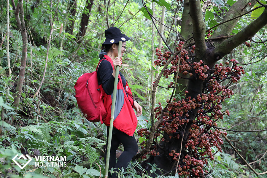 Increases Your Energy Level