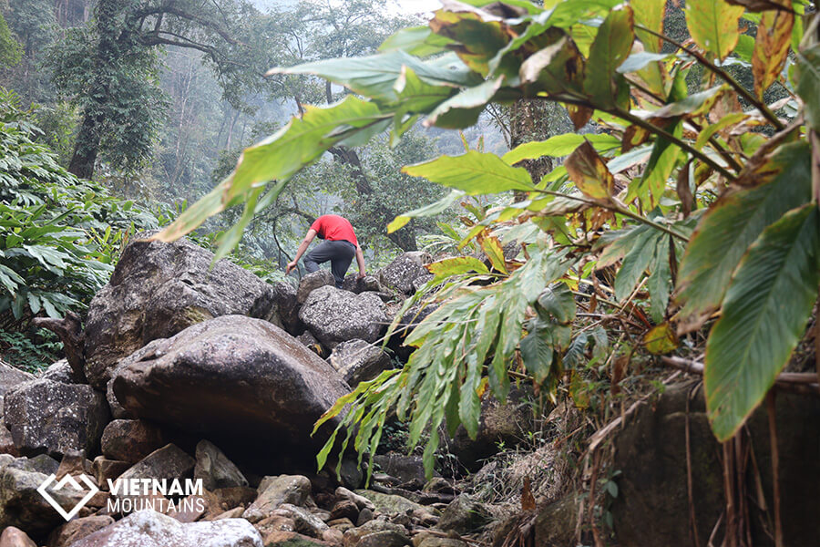 Hiking Is Good for Your Brain!