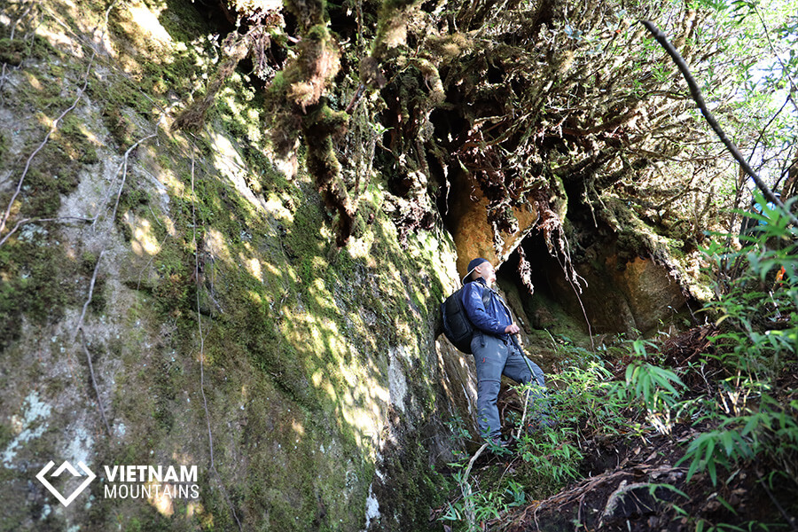 Develop Healthy Habits!