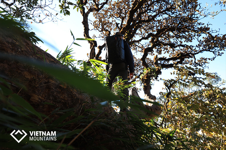 Hiking Improves Sleep Quality